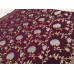 kora New Saree