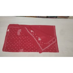 Elegant Lucknowi CHECKANKARI Handwork Saree Silk