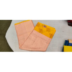 Banarasi Tanchoi Sarees – Timeless Elegance from Varanasi