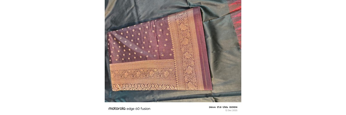 Festive Saree Collection for Diwali, Wedding & Parties